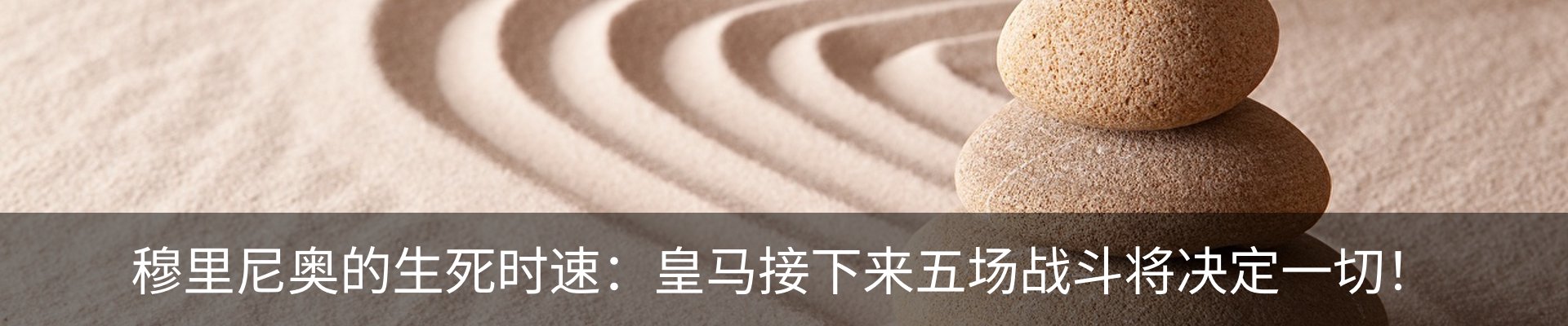 最新动态